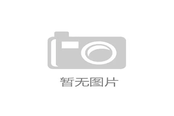 文莜婷:从学术新星到科技领域的创新者与实践者
